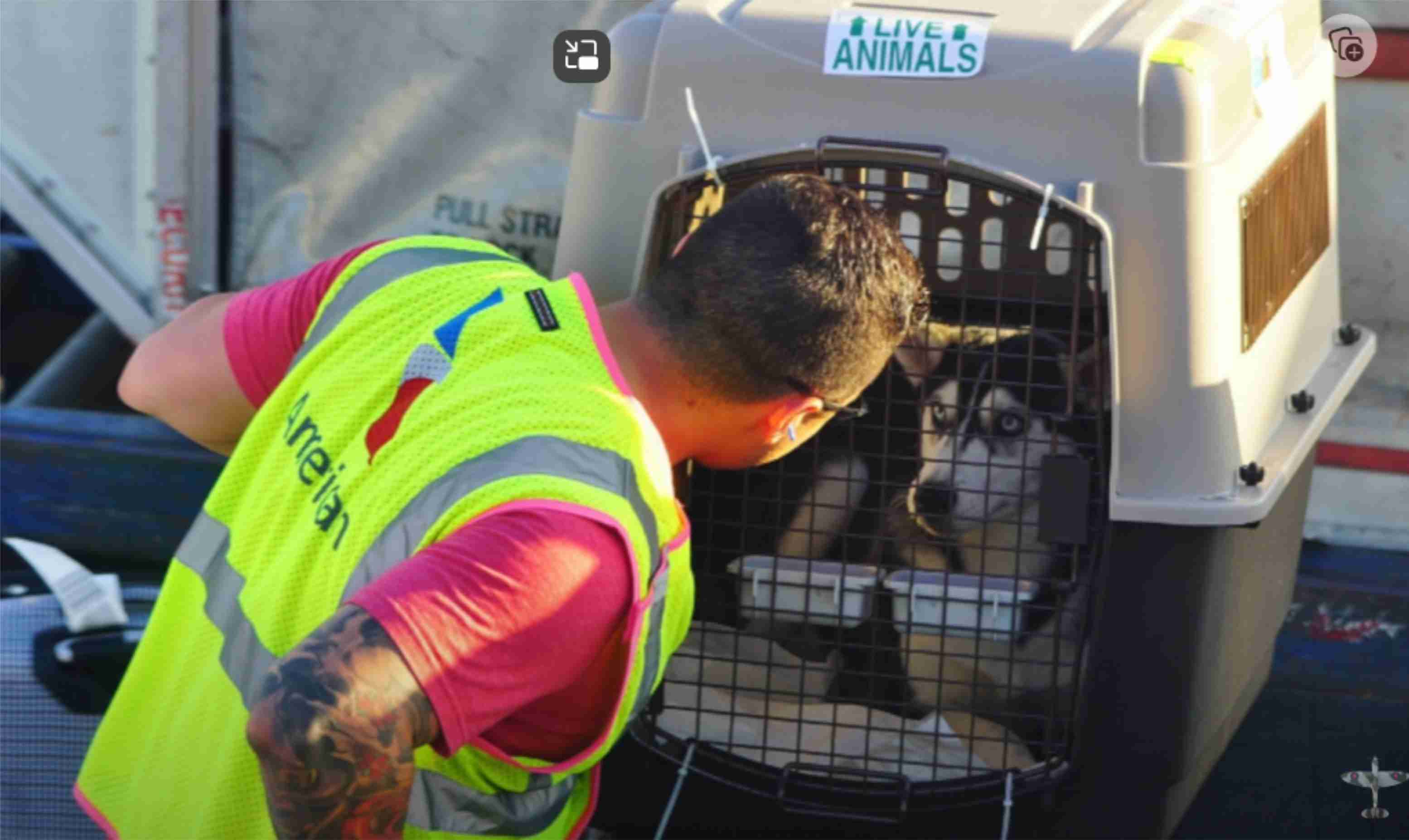 checking on the puppy